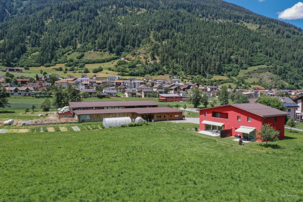 Pauraria Puntetta photo 3