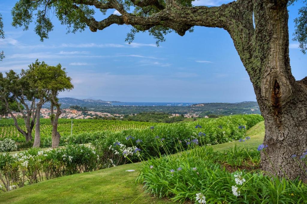 Beautiful Provençal Mas in the Golfe de Saint-Tropez photo 2
