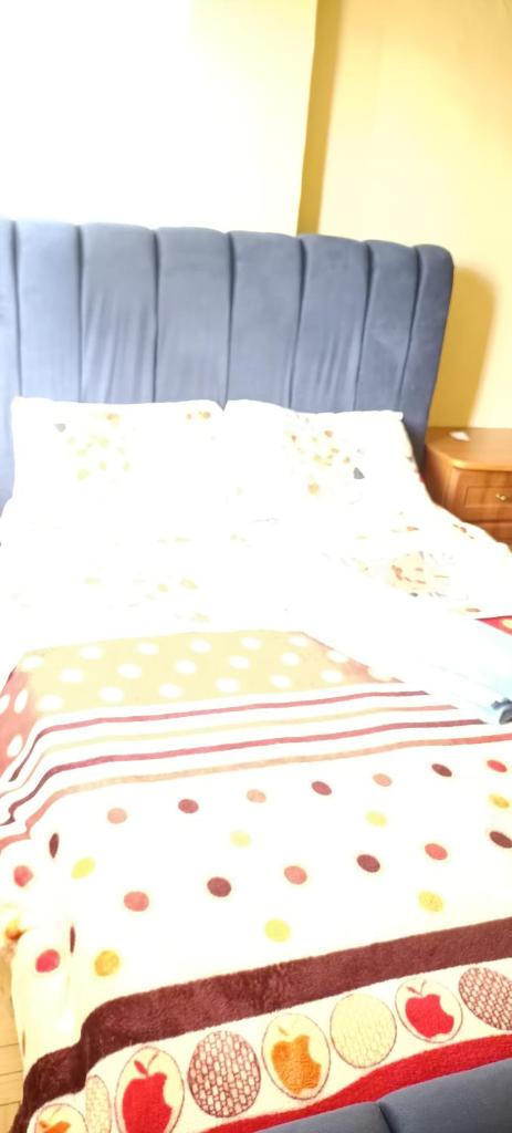 Akira Safaris Furnished Apartment photo 1