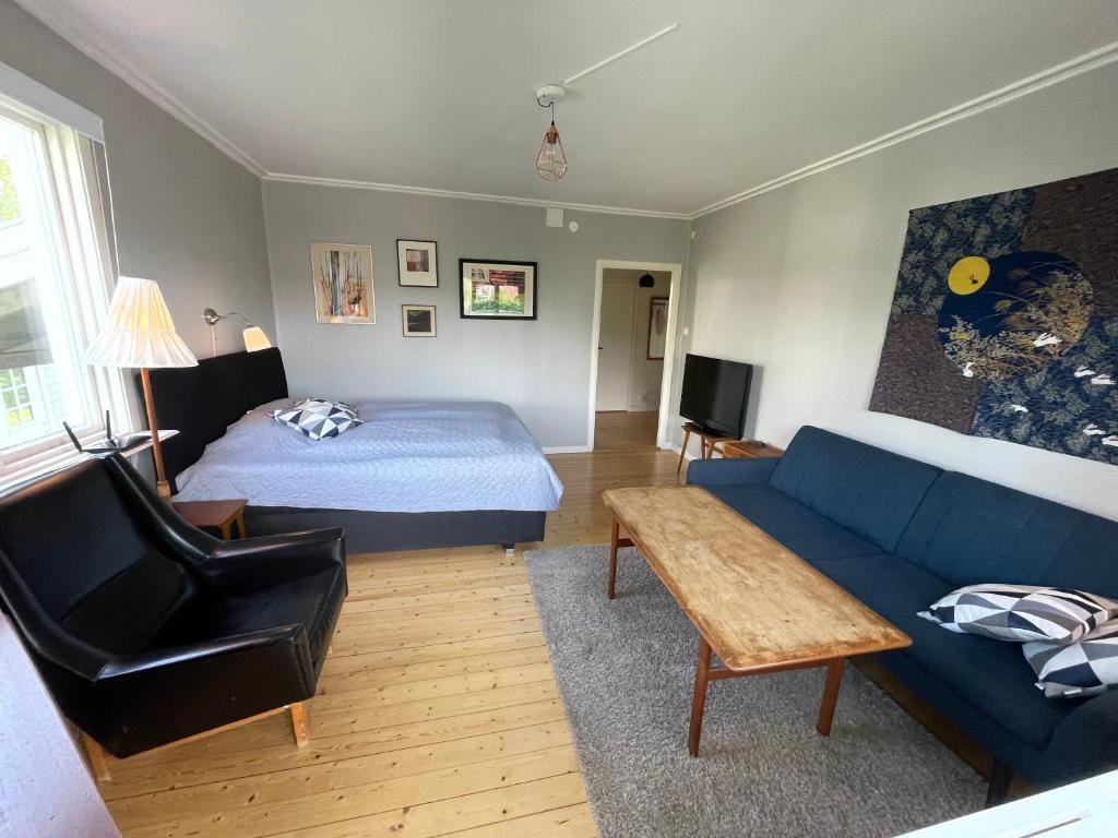 Stor etta på lugna söder photo 1