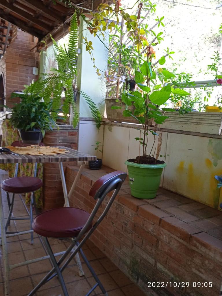 Pertinho da Mata Kitnete photo 2