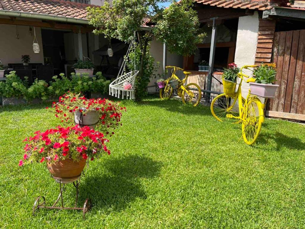 Póe home Trikala photo 1