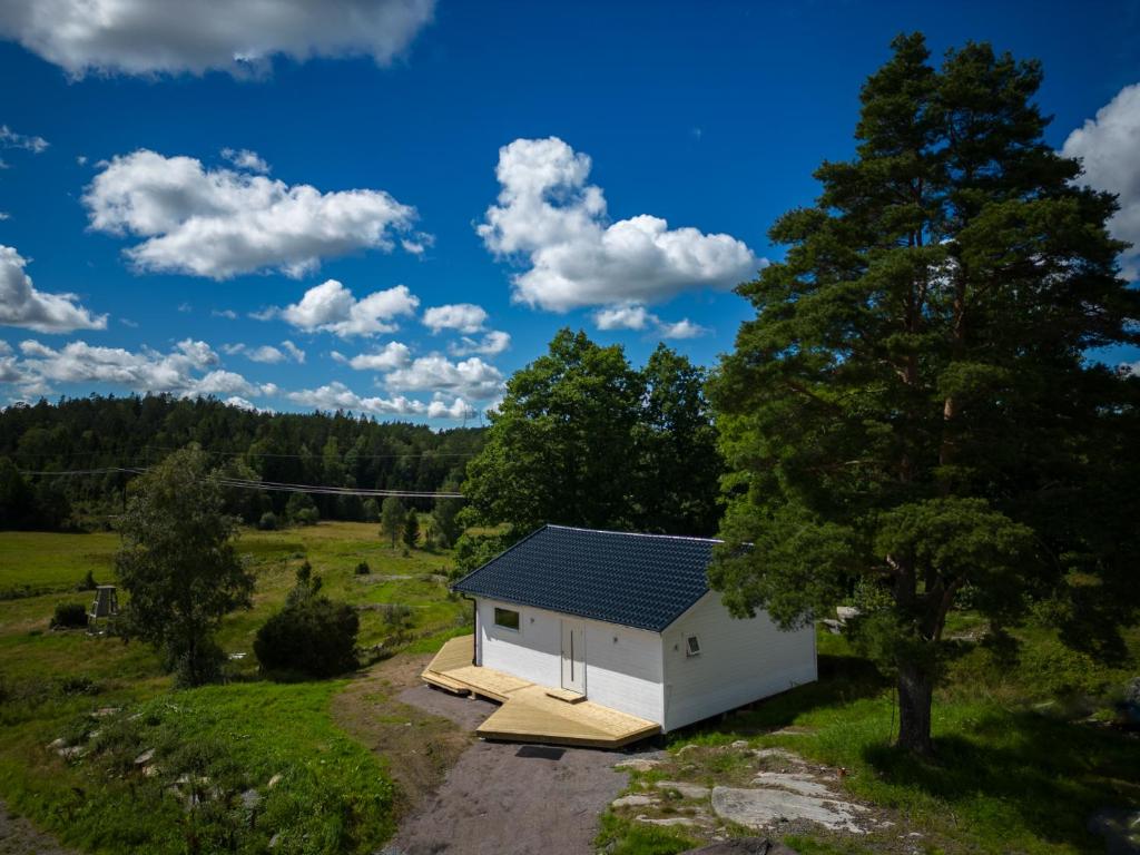 Wild Lodge photo 1