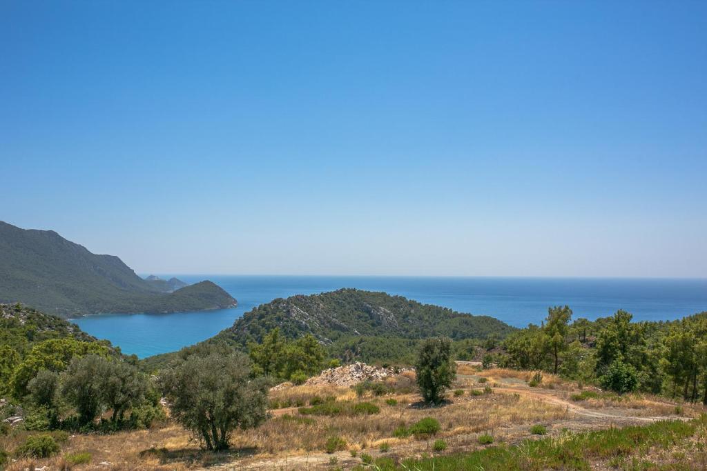 Kadir's Eco Life photo 3
