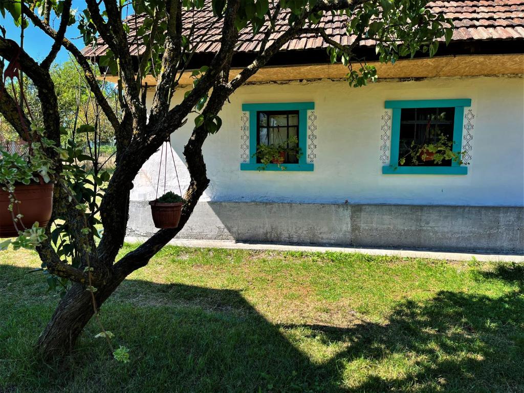 Baba's House photo 3