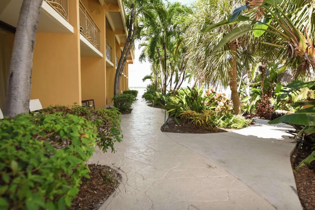 Hampton Inn Key Largo photo 4