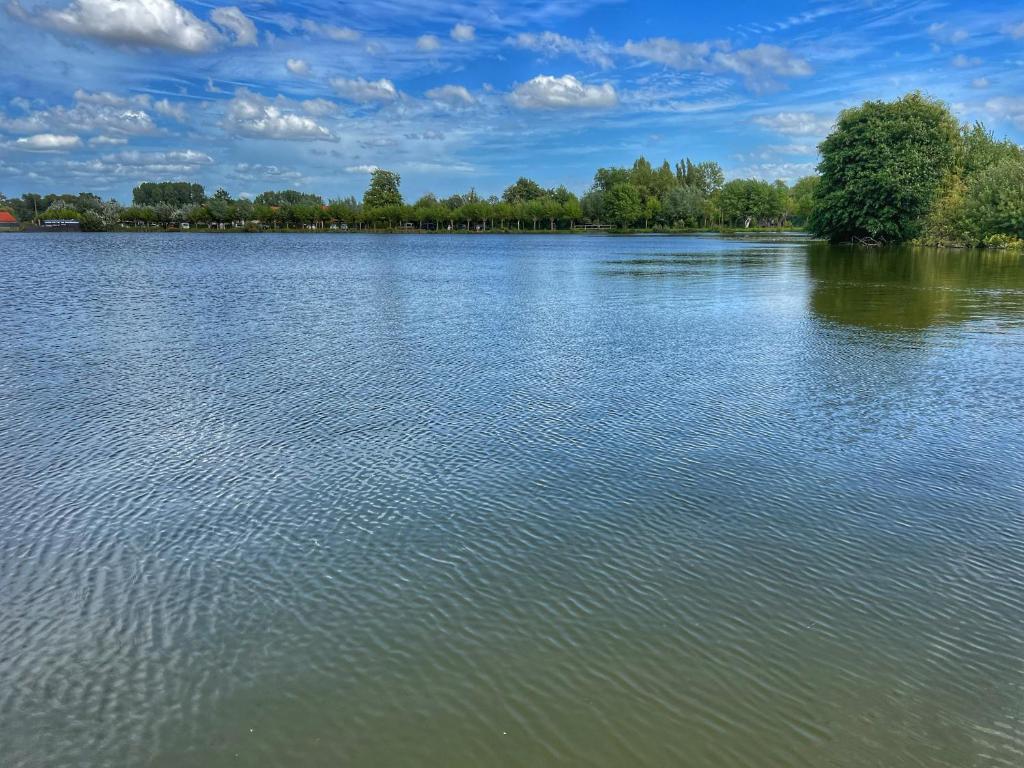 Gite du lac du Palentin Ardres photo 1