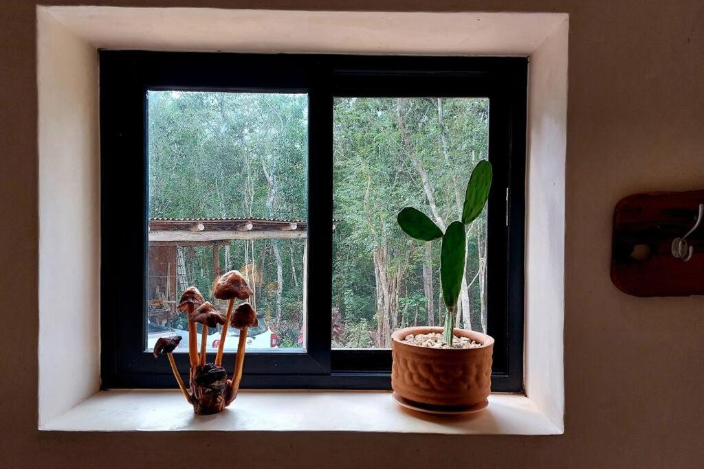 Casa Monarca - Suite boutique de lujo en la selva. photo 2