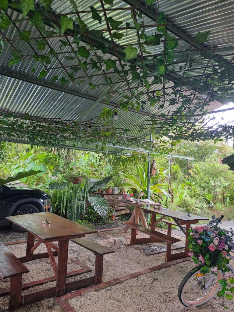 Glamping Rio Celeste Heliconia photo 3