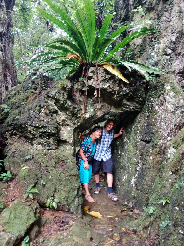 Homestay phố núi suối giàng