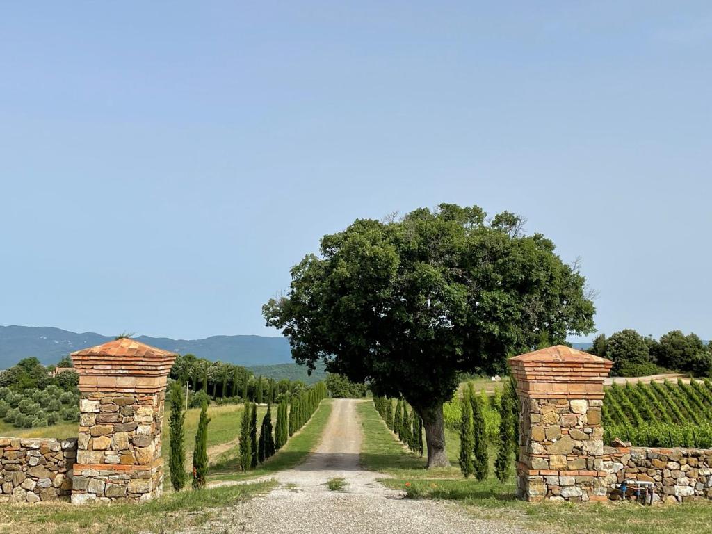 Podere Aurora photo 1