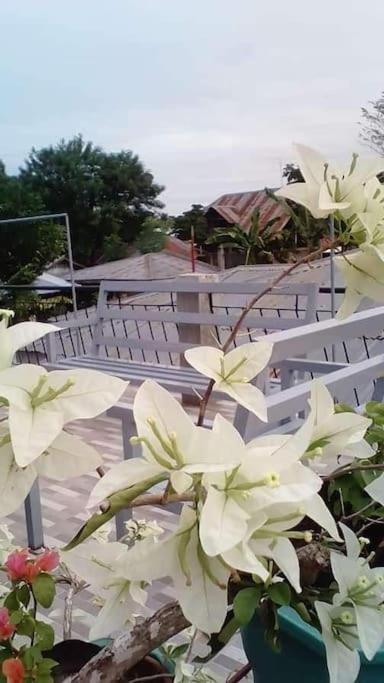 A Unique and Cozy WholeHouse in Babak Samal Island photo 3