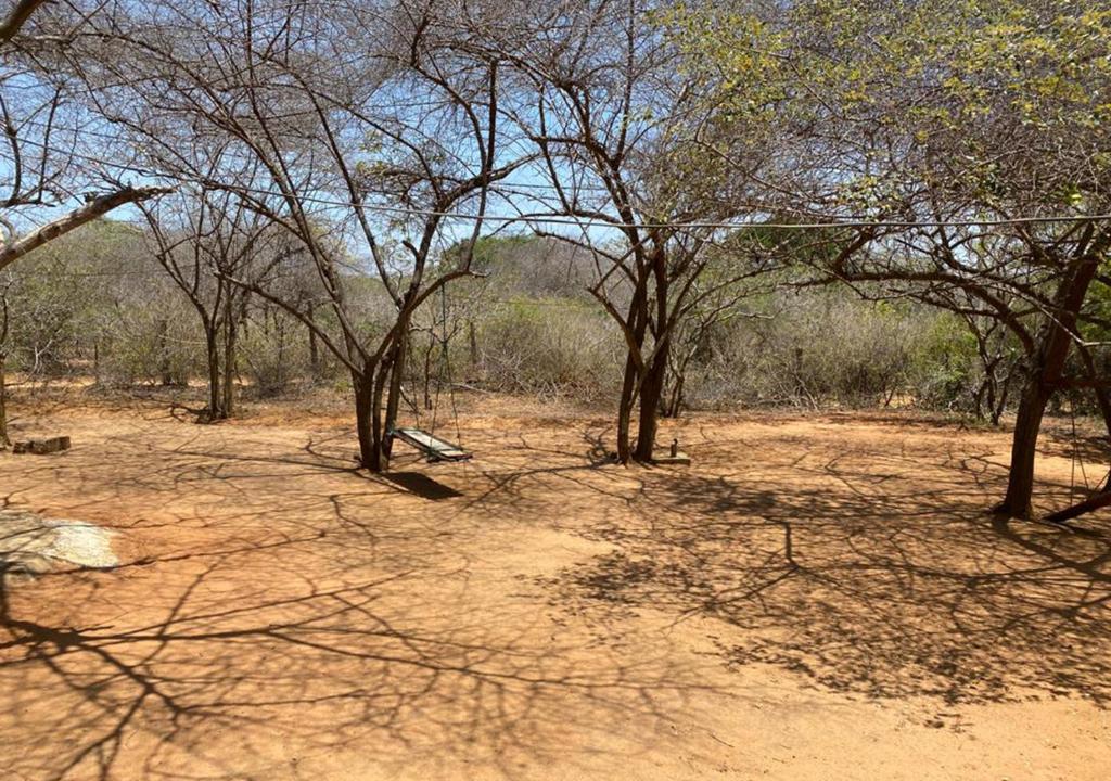 Yala shadow photo 3