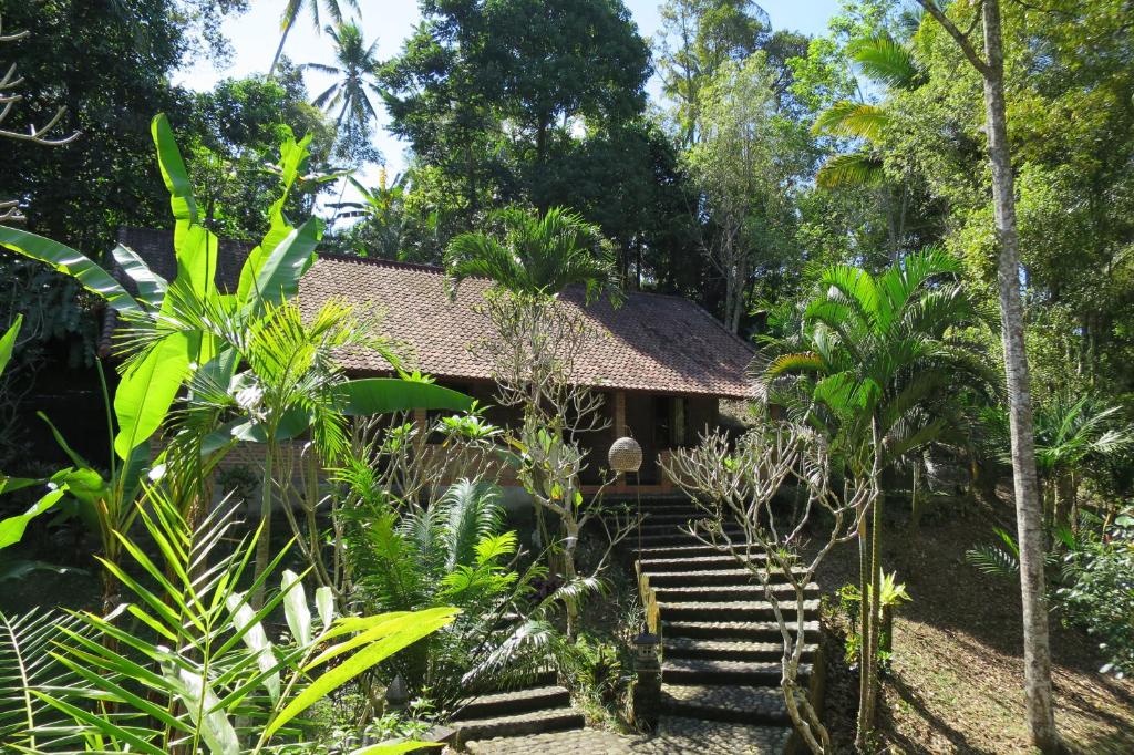 Kebun Villa, Belimbing, Bali photo 1