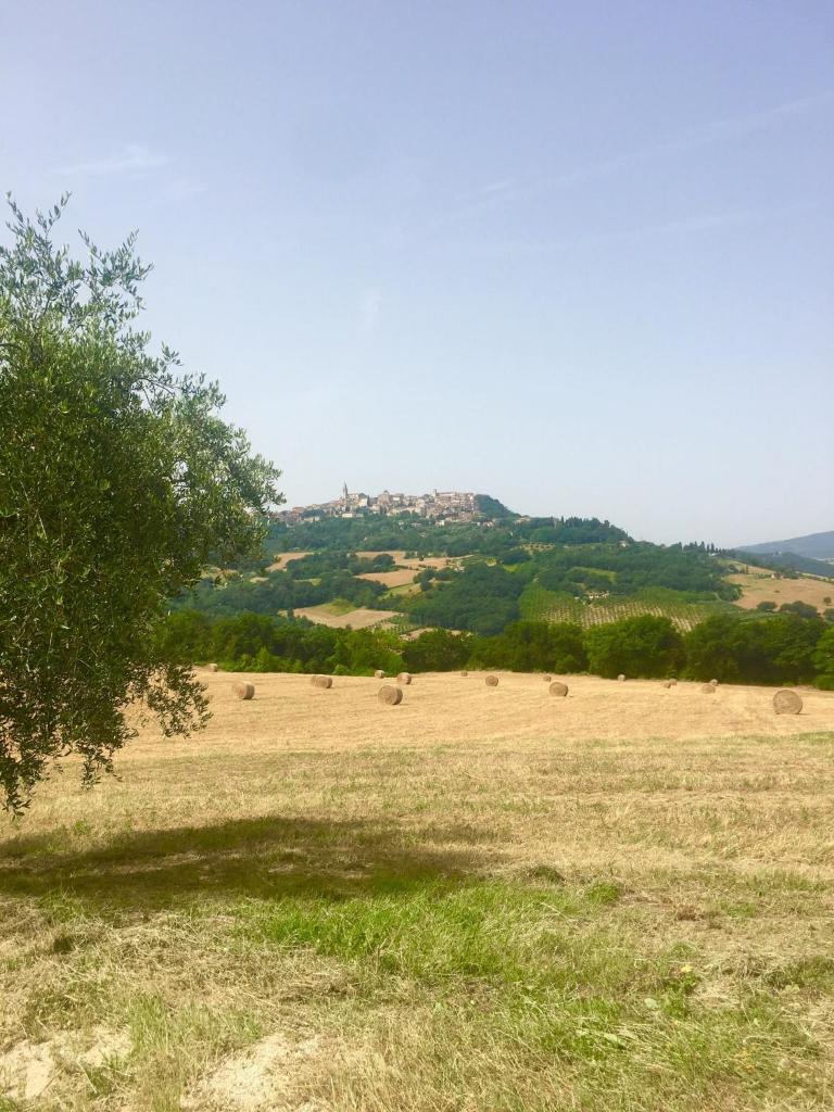 Colle Costanza photo 4