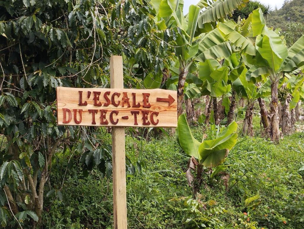 L'escale du Tec-Tec photo 1