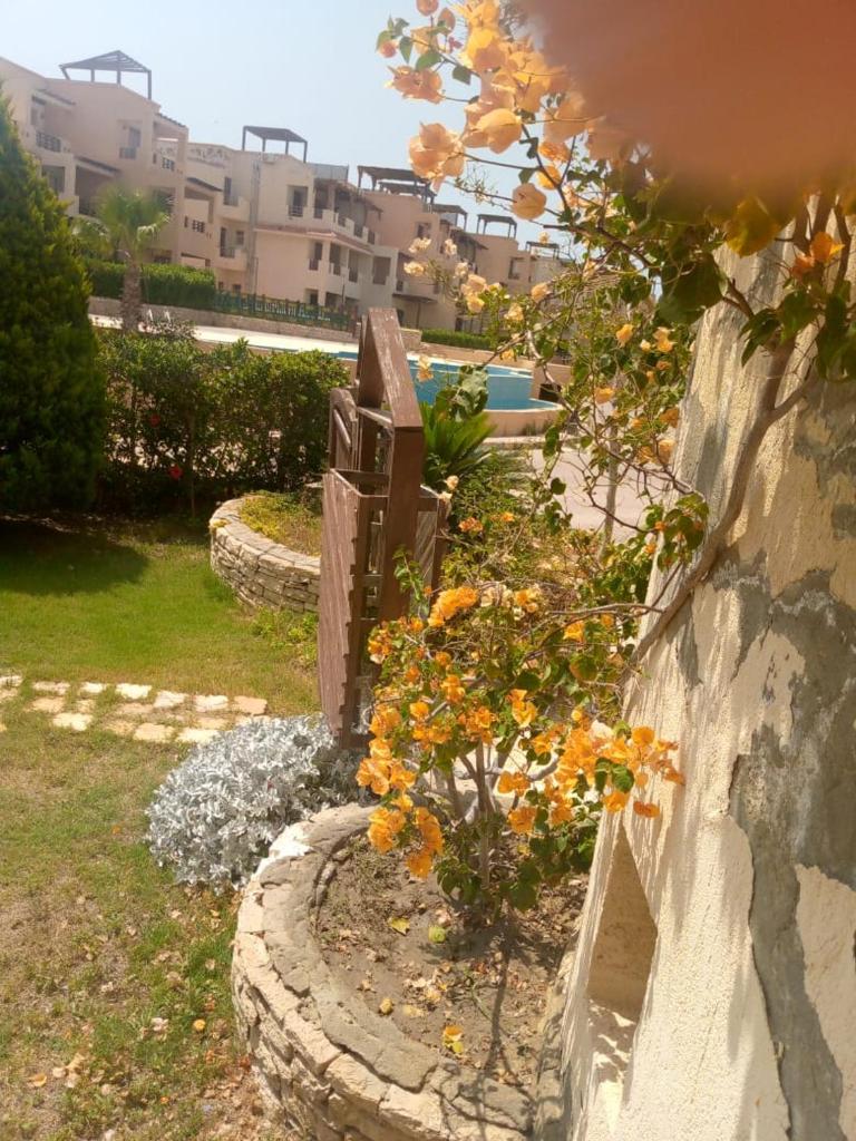 شاليه في قريه ديمورا الساحل الشمالي photo 4