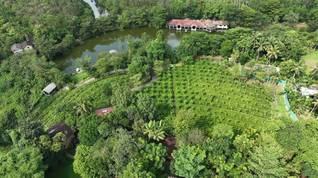 Lake Serenity Resort & Spa photo 3