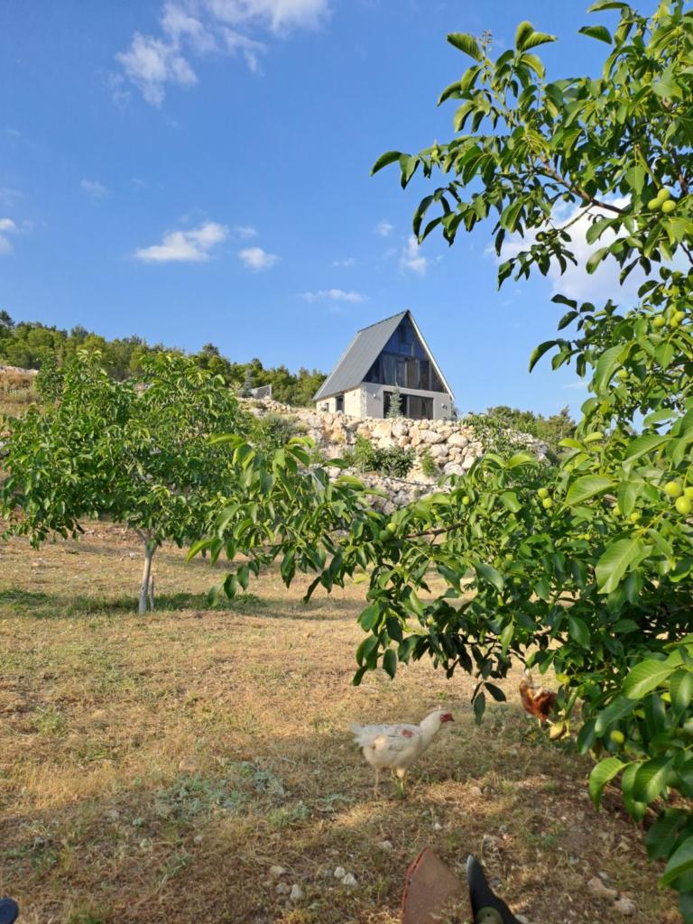 Çiftlik ve Dağ evi Kemer - Canerbey