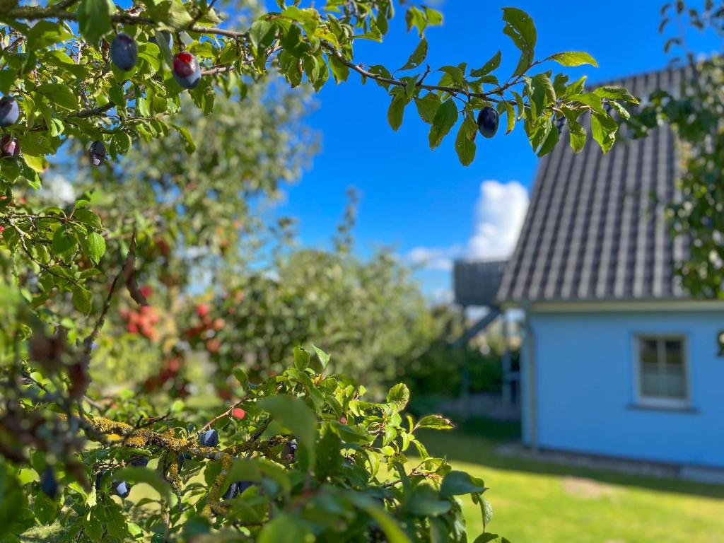 Holiday Home Blu Hus photo 4