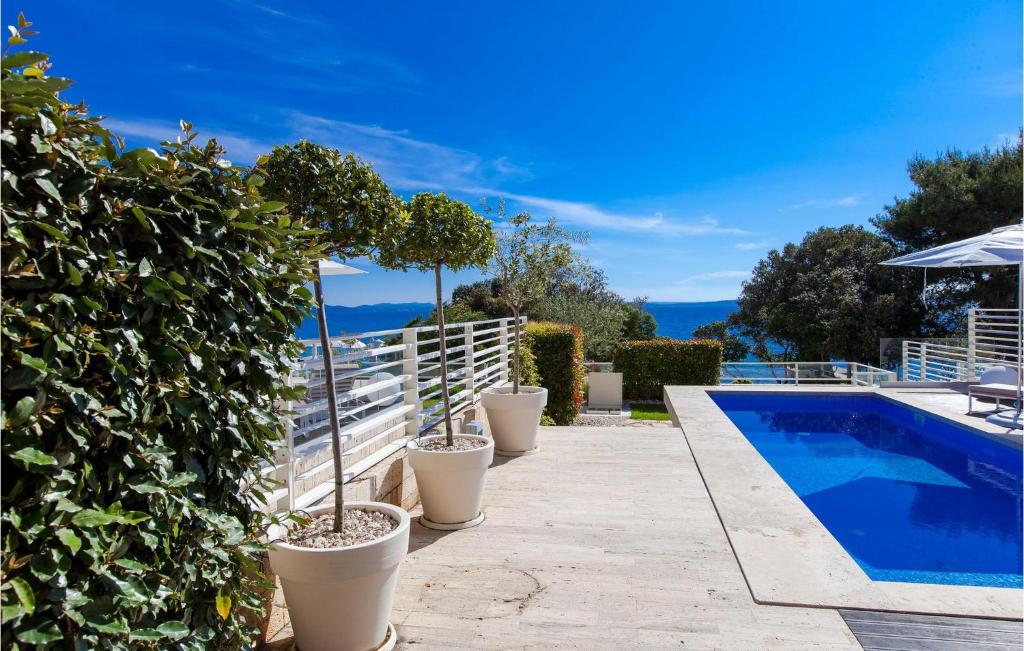 Villa Calla photo 3