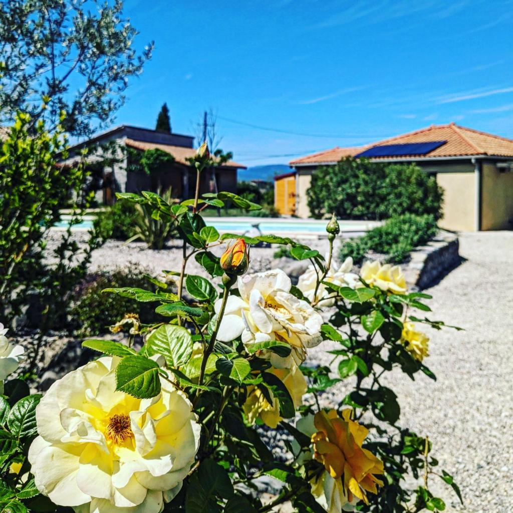 Villa Font Vive - Chambres d'hôtes éco-labellisées avec cuisine - Top confort, calme absolu et vue exceptionnelle ! photo 3