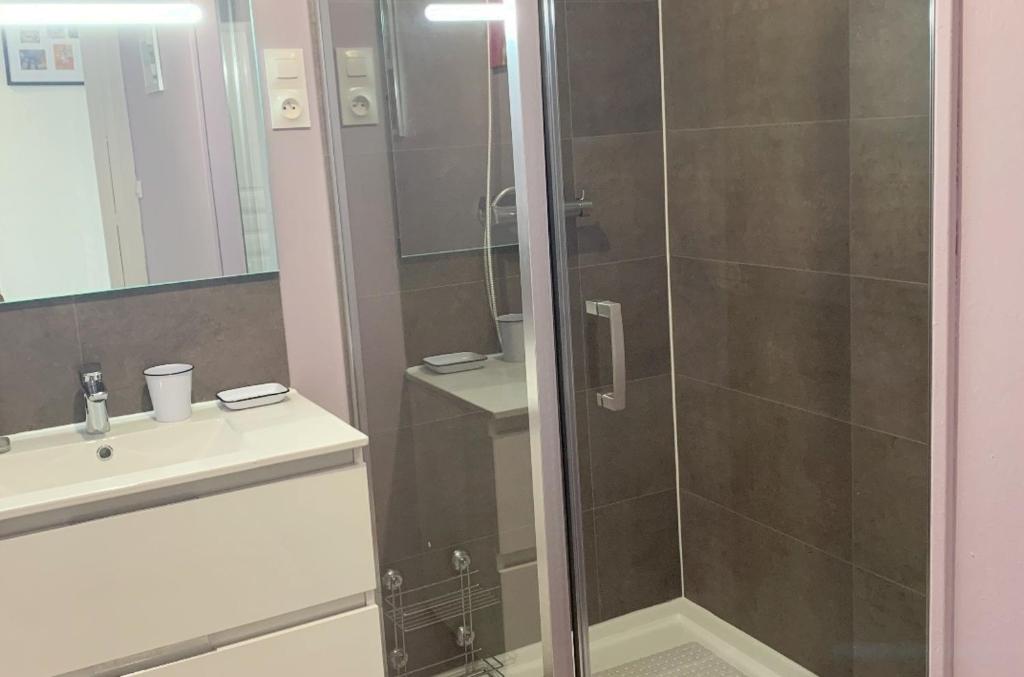 Résidence Gambetta - chambres dans appartement design grand confort Le 481 photo 3