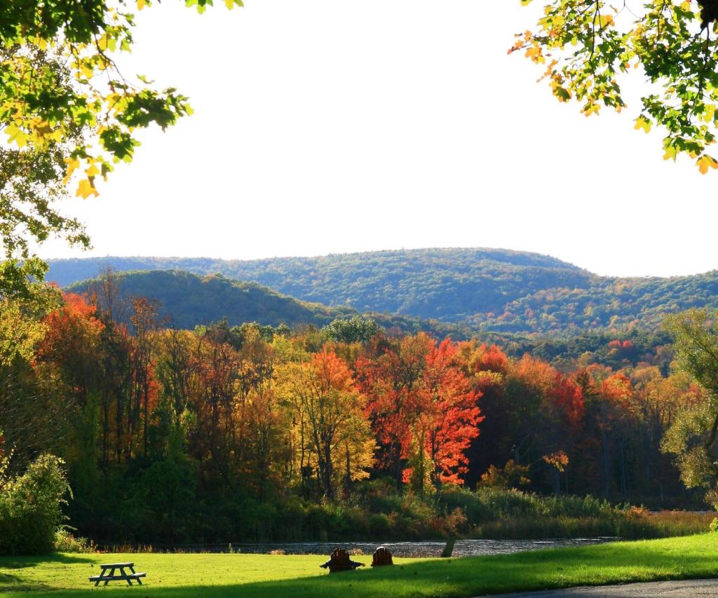 Hampton Inn & Suites Berkshires-Lenox photo 3