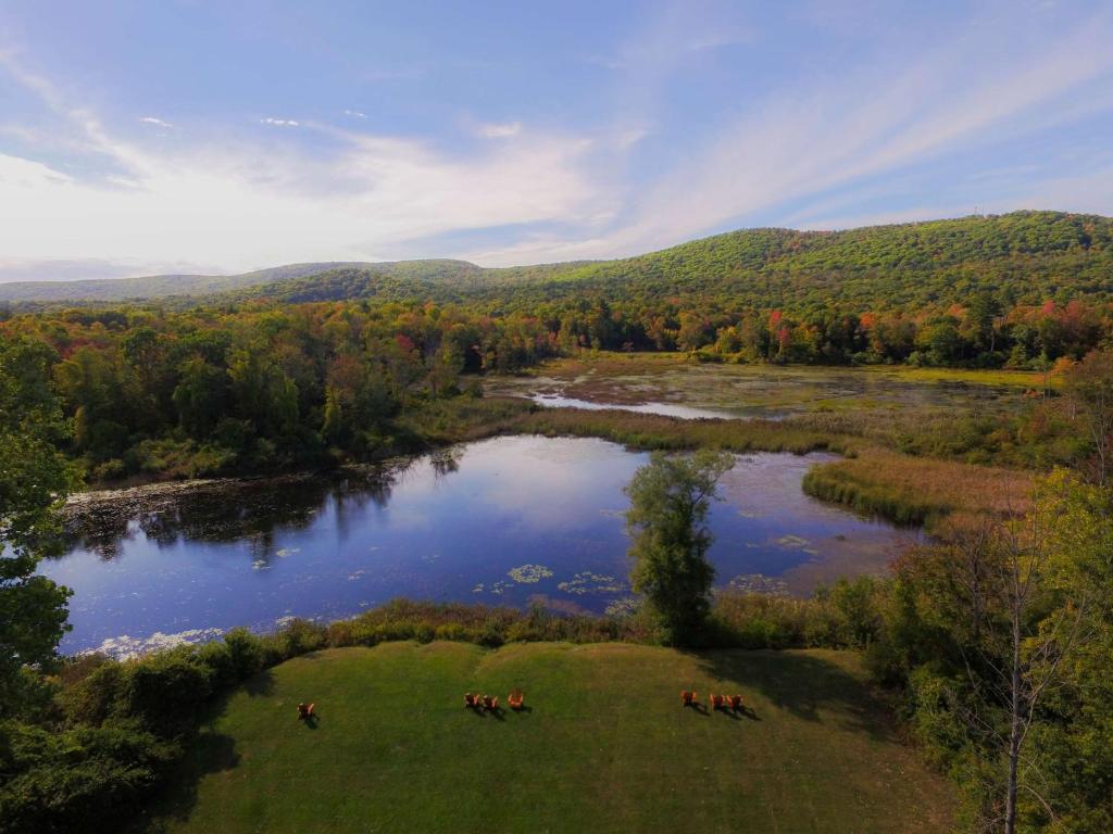 Hampton Inn & Suites Berkshires-Lenox photo 4