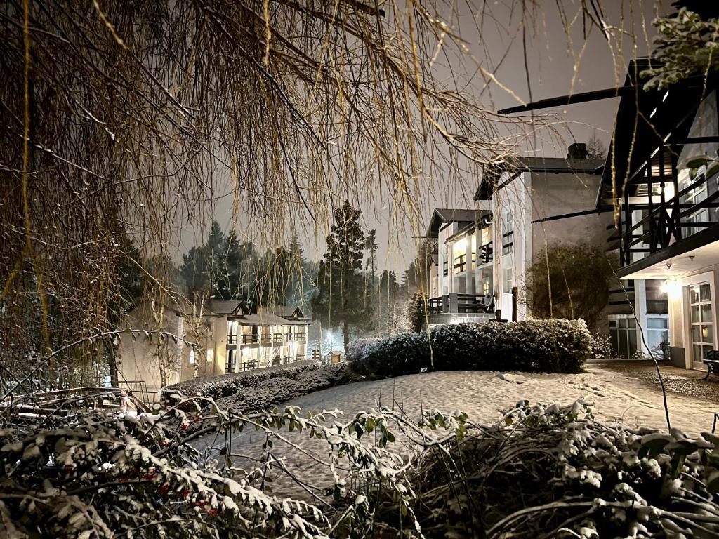 Aldea Andina Hotel&Spa photo 4