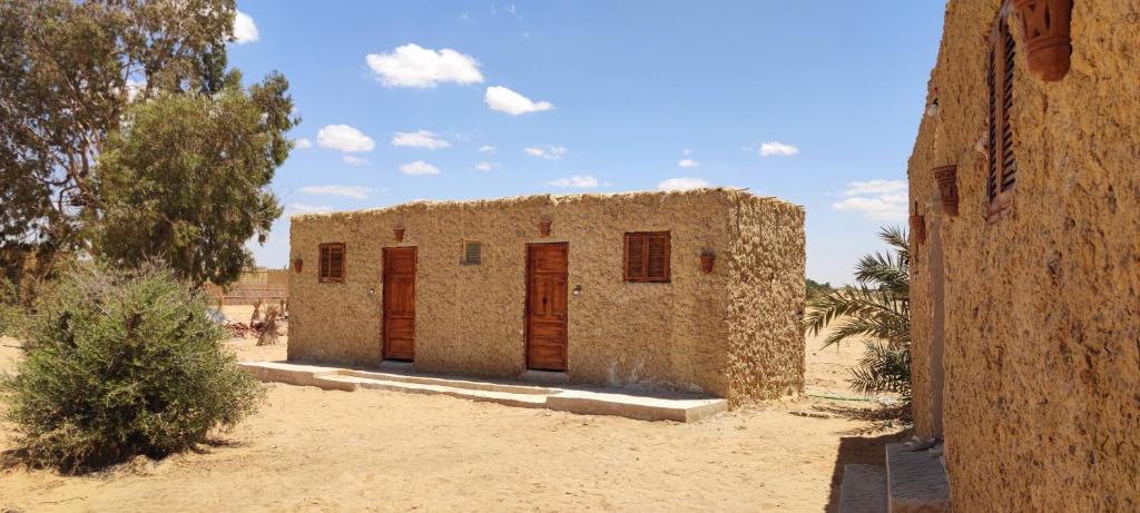 Cafour House Siwa - Hot Spring photo 4