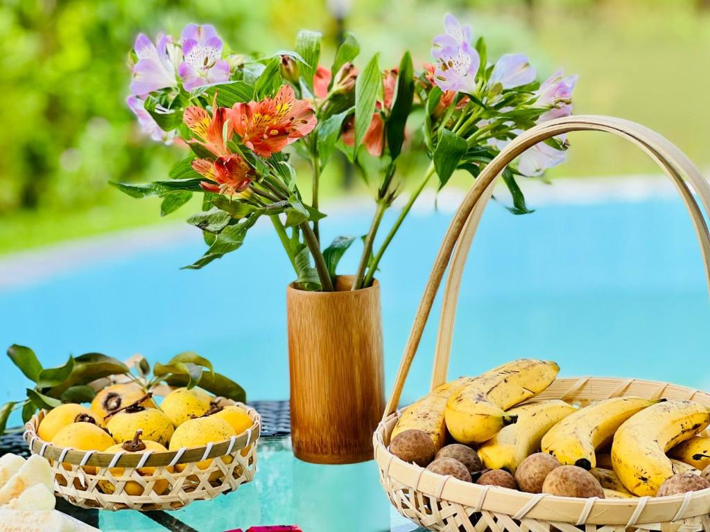 Caofong Glamping Village Hoà Bình