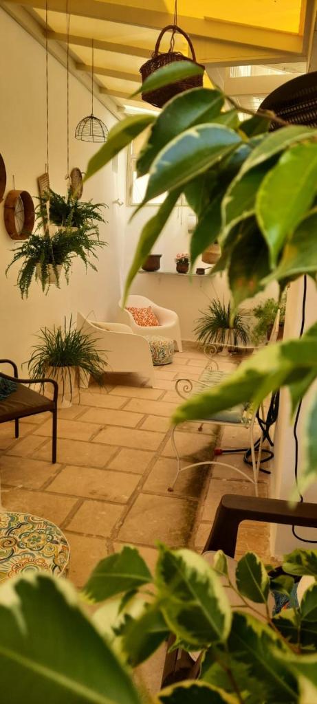 Vico degli Ebrei - Rooftop Jacuzzi - self check-in photo 2
