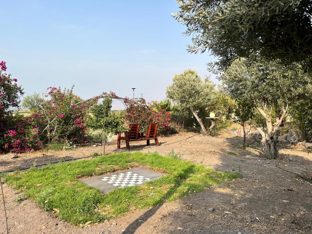 מוגלי ונייצ׳ר Mowgli & Nature photo 1