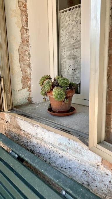 Casale Bellavita photo 3