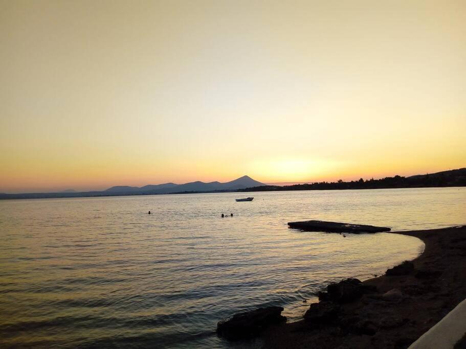 Seaside villa in Eretria photo 1