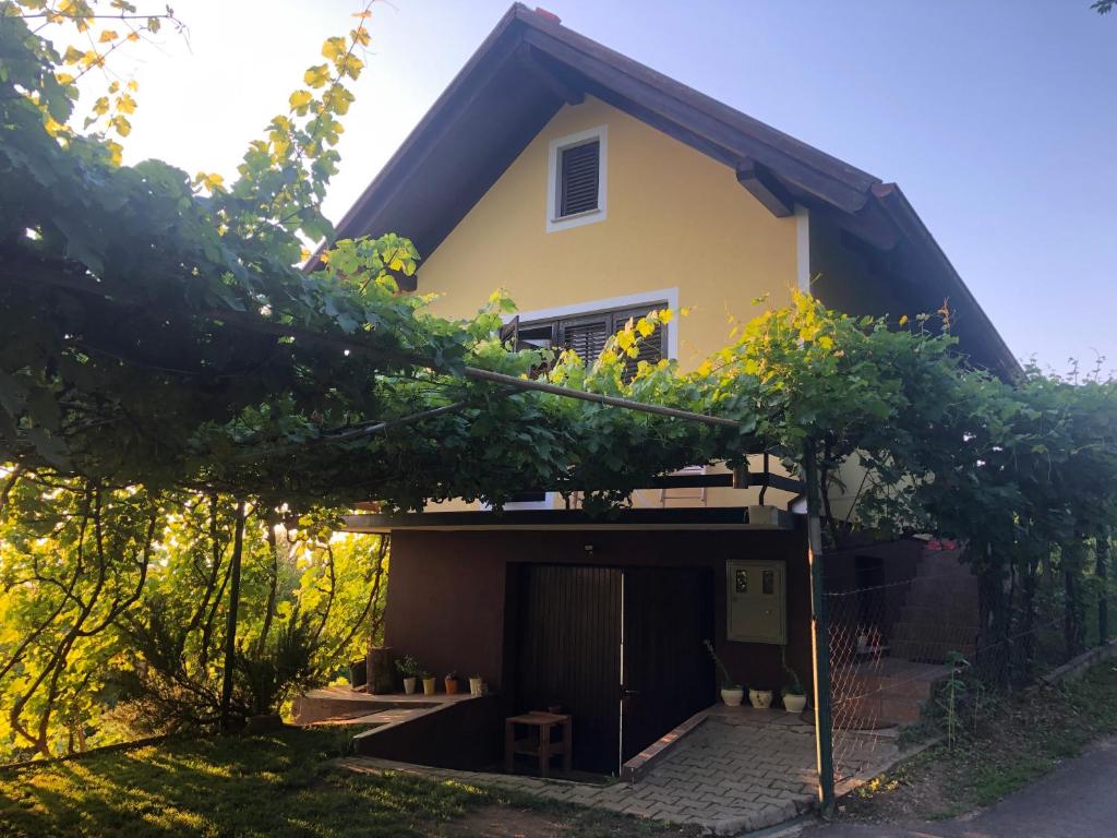 Adorable guesthouse in the middle of vineyards photo 2