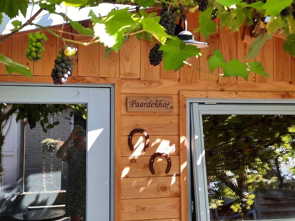 B&B Paardenhof photo 4
