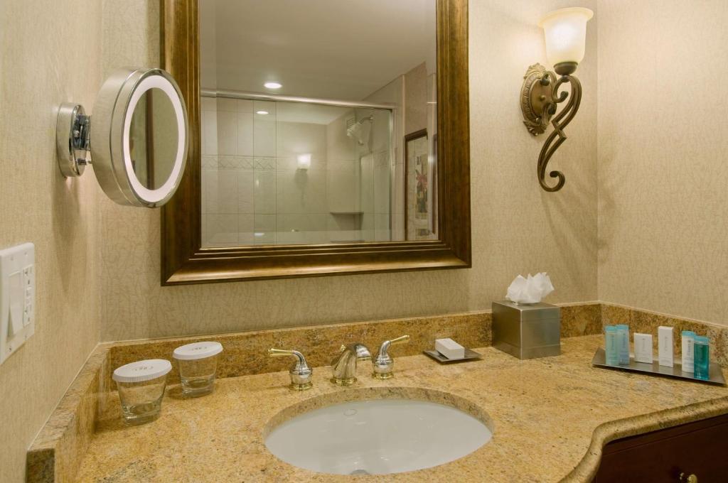 DoubleTree by Hilton Lisle Naperville Room Type - King Room