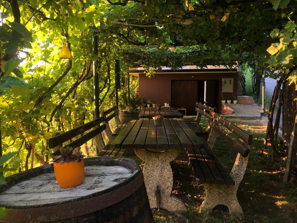 Adorable guesthouse in the middle of vineyards photo 3