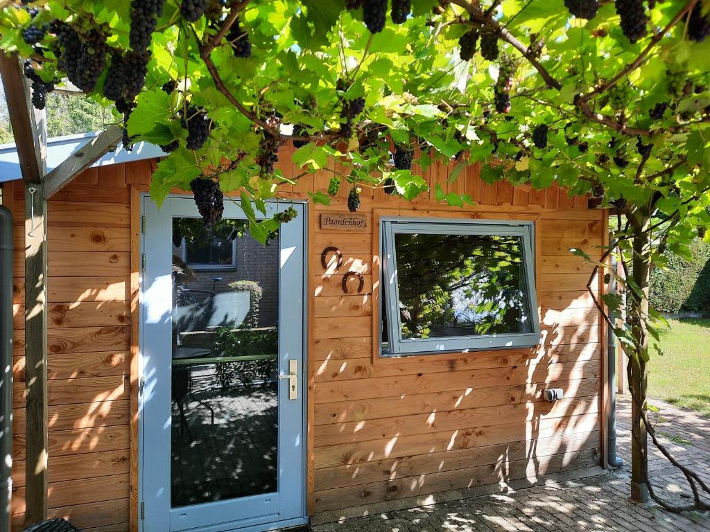 B&B Paardenhof photo 3