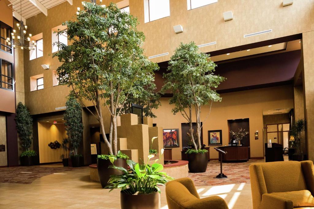 Embassy Suites by Hilton Minneapolis North photo 4
