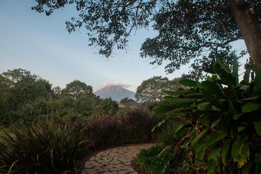 Katambuga House photo 1