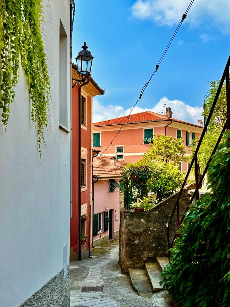 La casa dei nonni photo 4