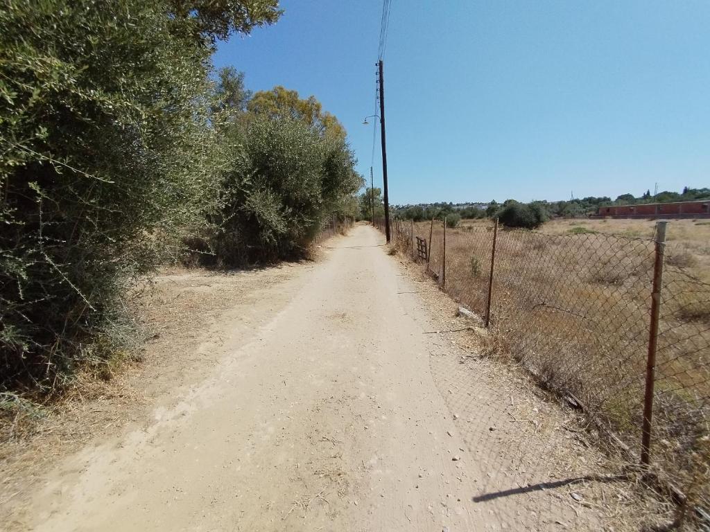 Costas' Farmhouse, Pallini, Near Athens Airport photo 2