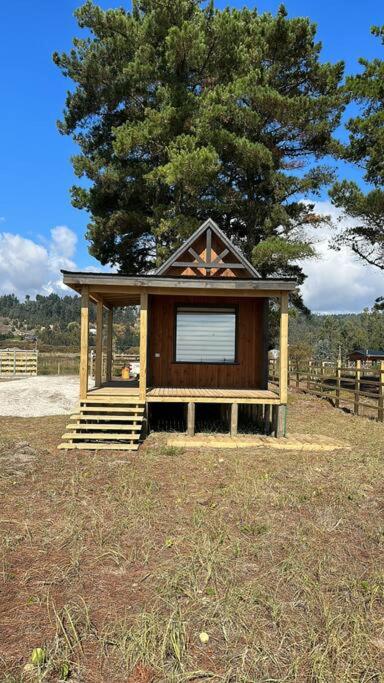 Tiny house - Playa photo 4