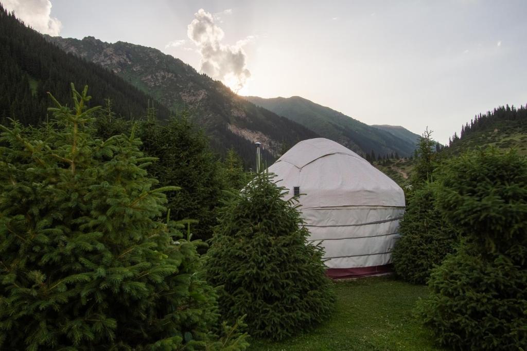 Eco Yurt Camp Arashan photo 4