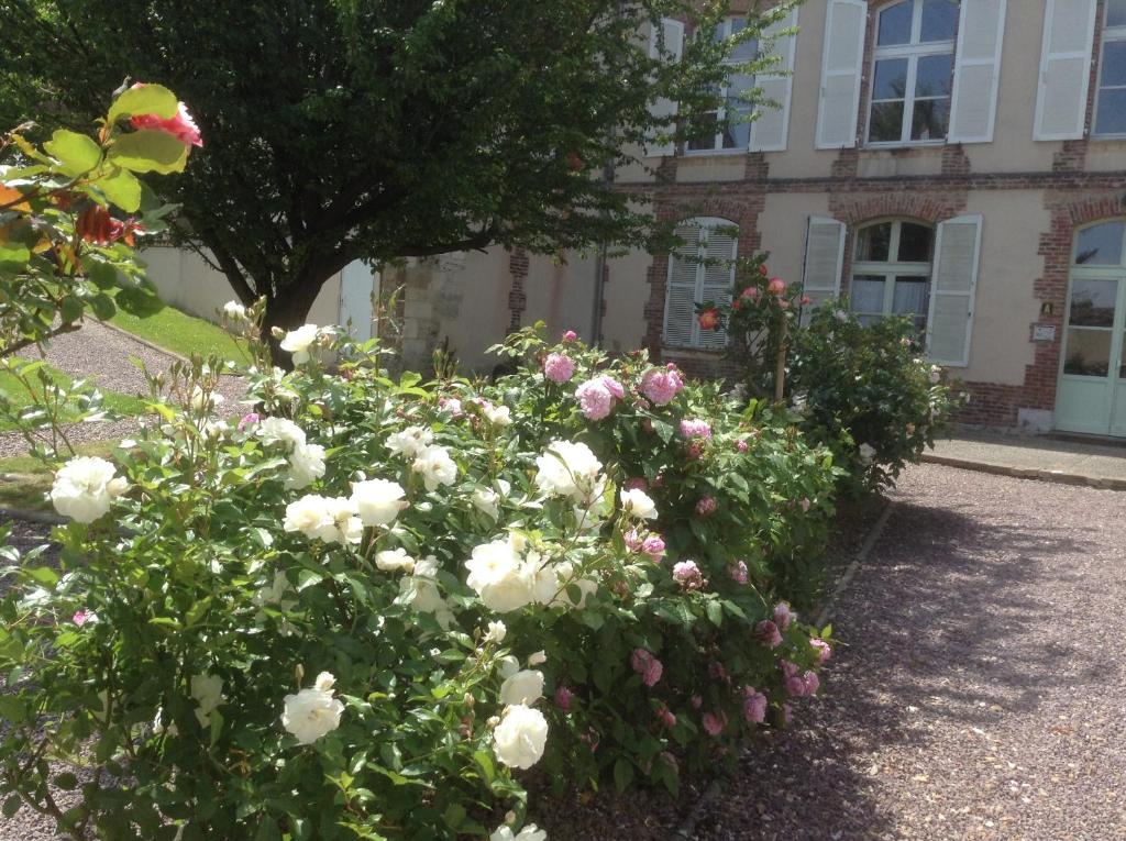 la maison du phare DE HONFLEUR chambre d hôtes B&B -jacuzzi privé- shabby chic photo 4