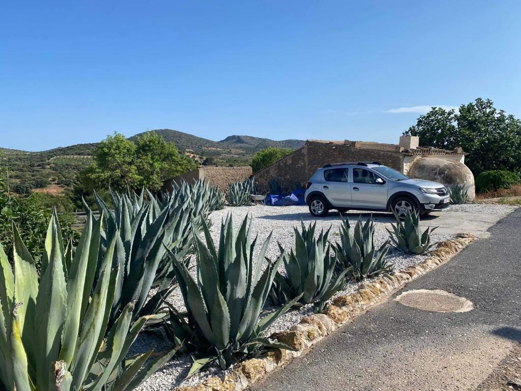 Cortijo Frankie photo 1