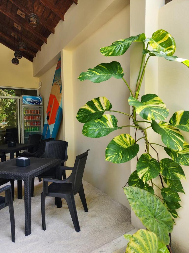 Dhigurah Dhonveli Boutique photo 3